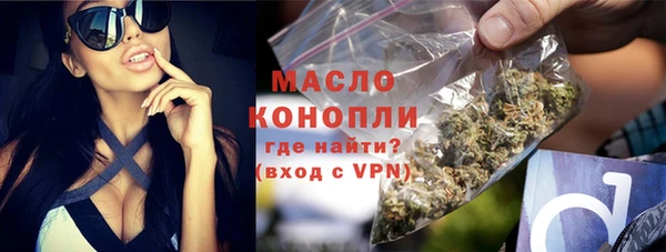 мяу мяу мука Гусь-Хрустальный