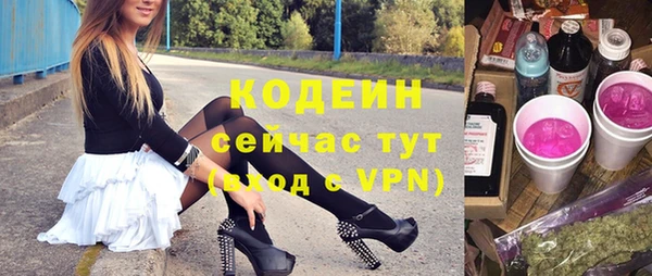 мяу мяу мука Гусь-Хрустальный